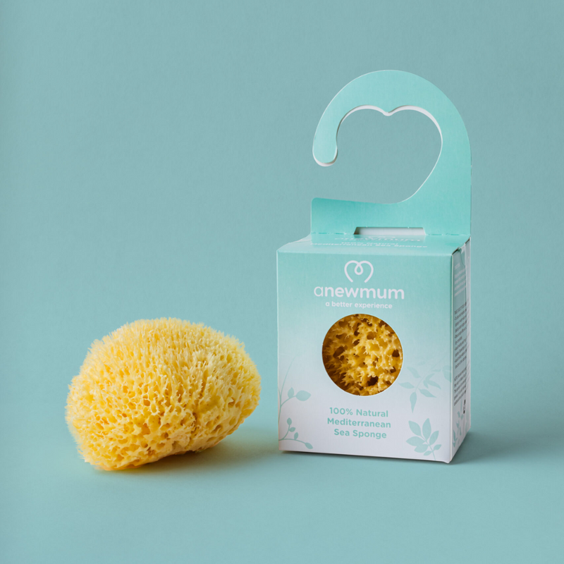 Natural Honeycomb Sea Sponge