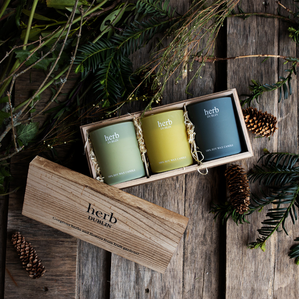 Herb Dublin Candle Trio Set Healthy House Store