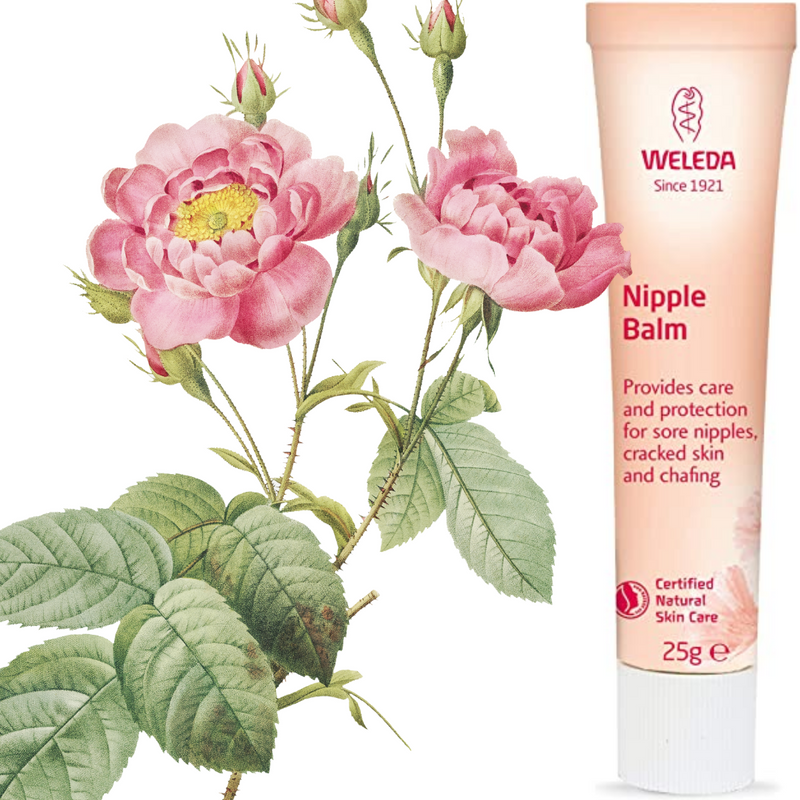 Weleda Nipple Balm