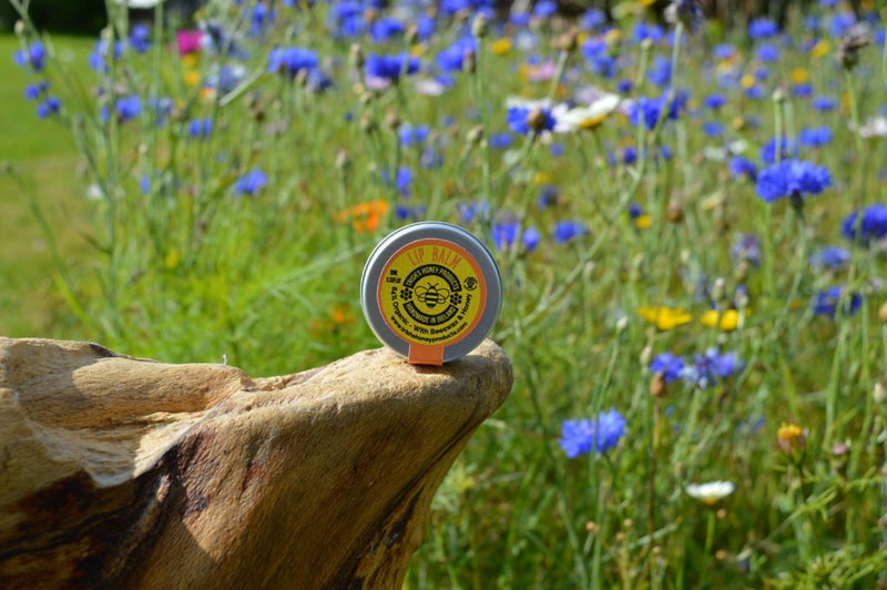 Trish`s Honey Products Lip Balm
