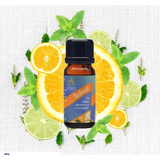 Absolute Aromas Refresh Aromatherapy Blend