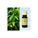 Atlantic Aromatics Cinnamon Leaf Essential Oil 10ml